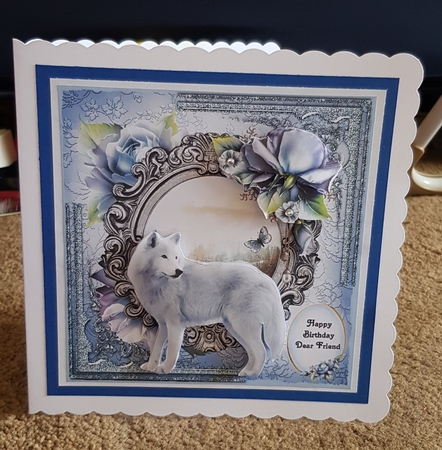 Stella by Belinda Rainsley