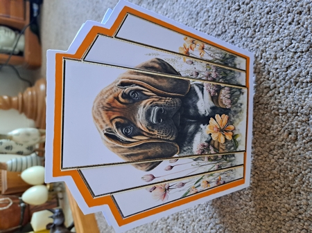 7x7 Art Deco Stacker - Bloodhound Pup by Belinda Rainsley