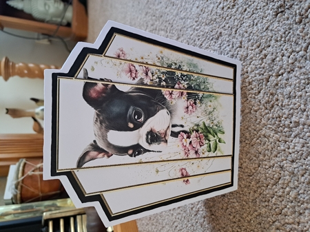 7x7 Art Deco Stacker - Boston Terrier Pup by Belinda Rainsley