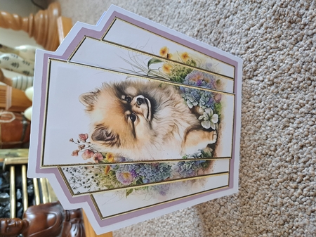 7x7 Art Deco Stacker - Pomeranian Pup by Belinda Rainsley