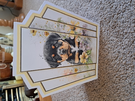 7x7 Art Deco Stacker - Rottweiler Pup by Belinda Rainsley