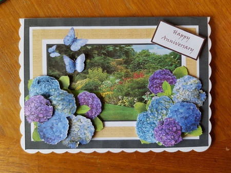 Hydrangeas Step By Step 7x5 by Belinda Rainsley