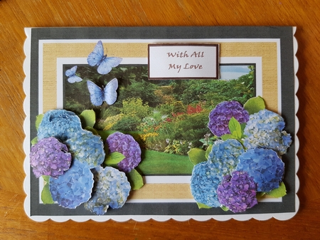Hydrangeas Step By Step 7x5 by Belinda Rainsley