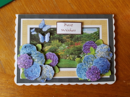 Hydrangeas Step By Step 7x5 by Belinda Rainsley