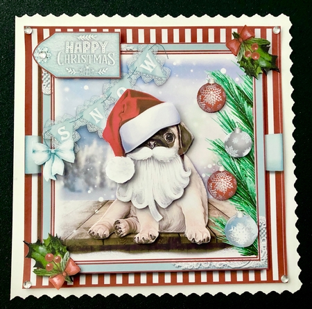 Santa Paws  by Belinda Rub