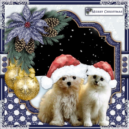 Christmas Pets  by Belinda Rub