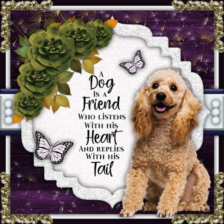 884-cu4cu68-Dogs2 by Belinda Rub