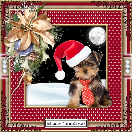 Christmas Tree Frames Set 3 (Christmas Colors) by Belinda Rub