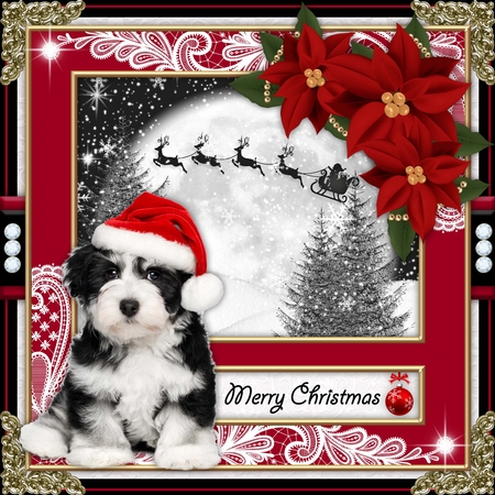 Lace Frames Set 6 (Christmas Colors) by Belinda Rub