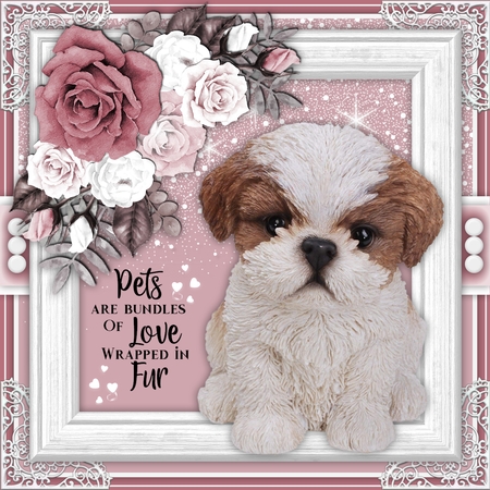 Cosy Star Dust by Belinda Rub