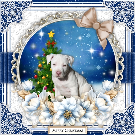 Staffie Christmas Toppers  by Belinda Rub