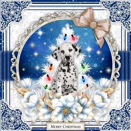 Dally Christmas  by Belinda Rub