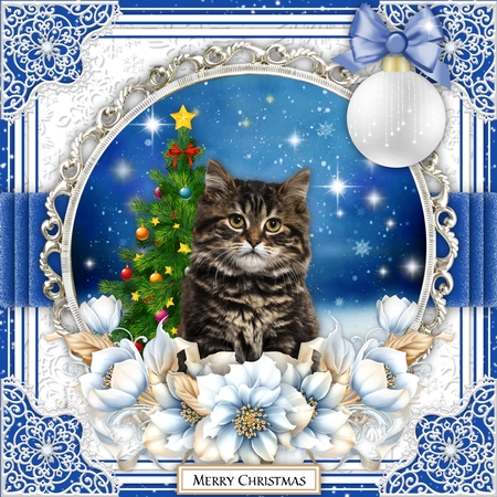 Christmas 2 Bauble by Belinda Rub