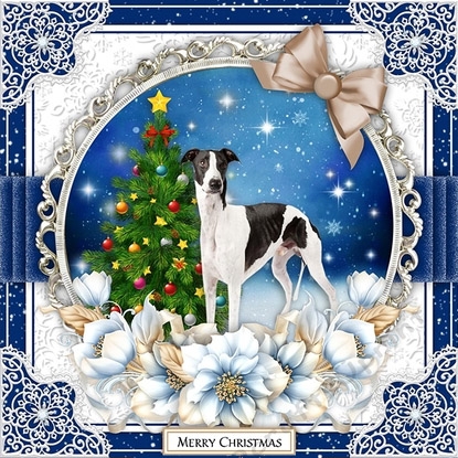 Greyhound Christmas Plates by Belinda Rub