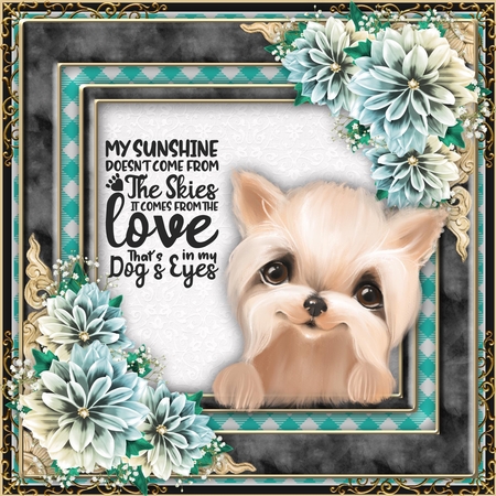 Warm Spring Gingham Digital Paper by Belinda Rub