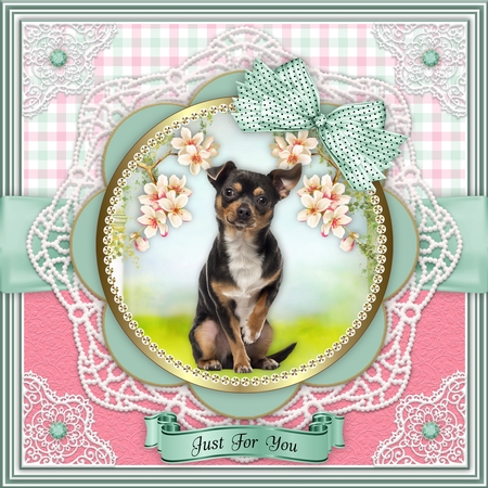 Spring Dog Plates  by Belinda Rub
