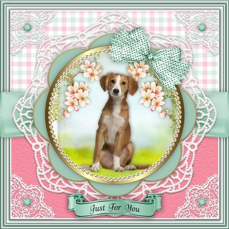 Beautiful delicate Doilies 2 by Belinda Rub