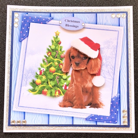 Gorgeous Cavalier In Santa Hat 8x8 by Belinda Rub