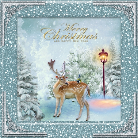 Christmas 3 Flecks of Snow Frame by Belinda Rub