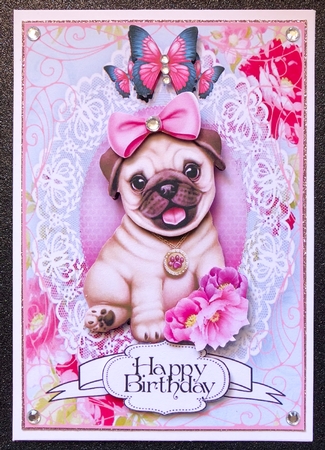 Lacy Pug by Belinda Rub