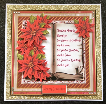 Book of poinsettias and verse by Belinda Rub