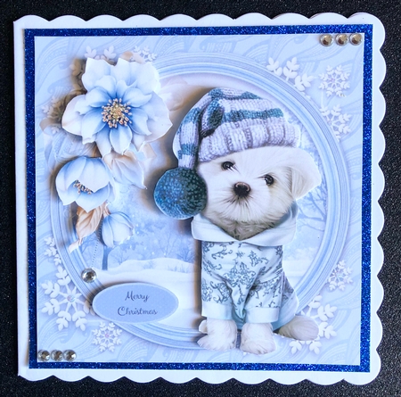 Gorgeous Dog In Winter Hat With Blue Flowers 8x8 Mini Kit by Belinda Rub