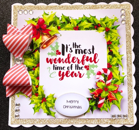 Festive Holly Frame - The Most Wonderful Time 8x8 by Belinda Rub