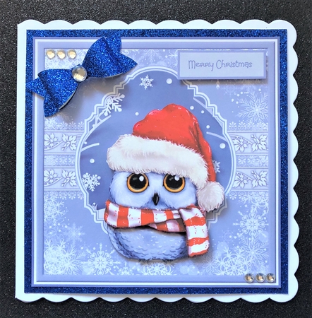 Christmas owl by Belinda Rub