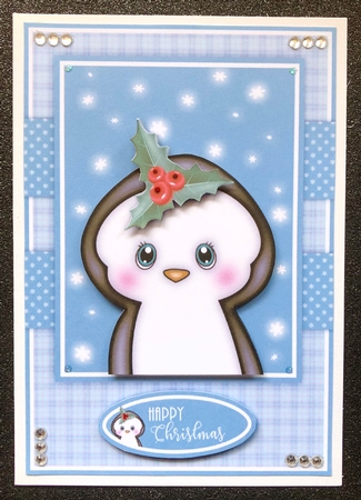 Penguin Quick Card by Belinda Rub
