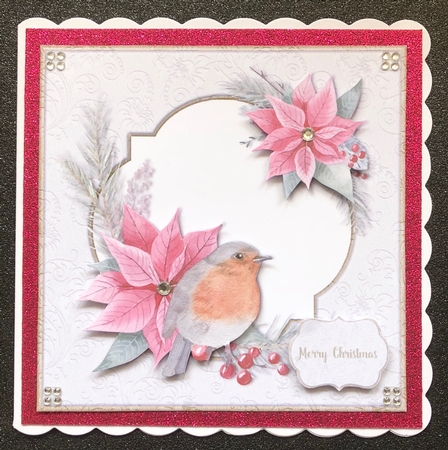 Robin & Poinsetta by Belinda Rub