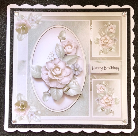 Blush rose by Belinda Rub