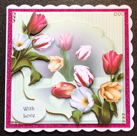 Multicoloured Tulips Beauty by Belinda Rub