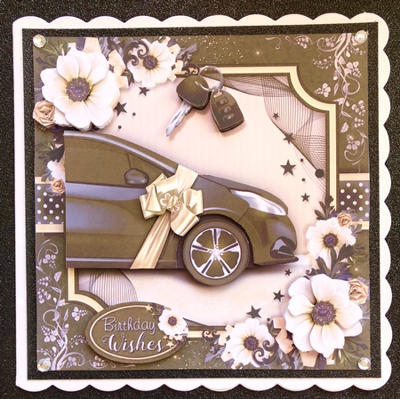 The Car is the Star by Belinda Rub