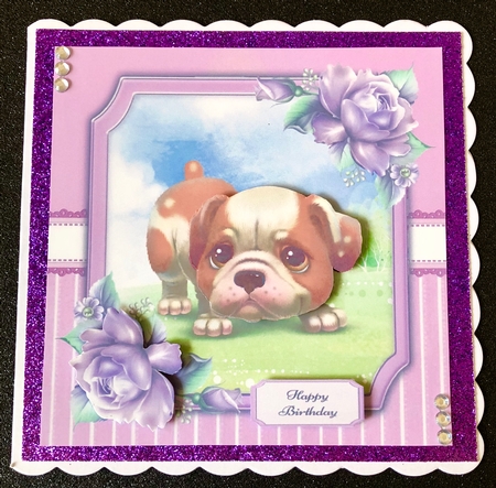 Gorgeous Brown & White Dog 8x8 by Belinda Rub