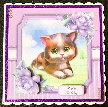 Gorgeous Multicolored Cat 8x8 by Belinda Rub