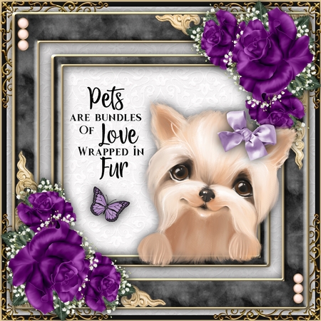 Muted Pastels 8x8 Embossed Papers 200Dpi by Belinda Rub