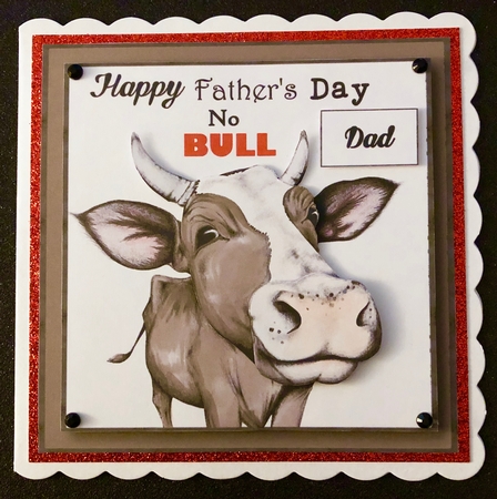 Funny Close Up Cow Bumper Kit (6 Minikits) by Belinda Rub