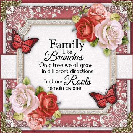  8x8 Lacey Circle Backgrounds by Belinda Rub