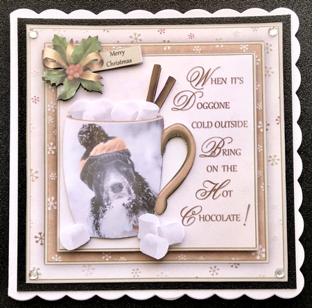 Doggone Cold Mini Kit by Belinda Rub