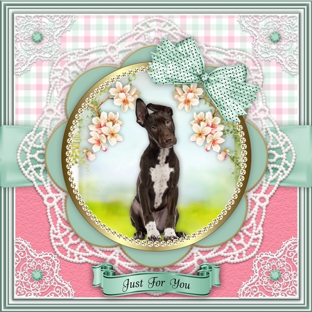 Sweet Sentiments 3 by Belinda Rub