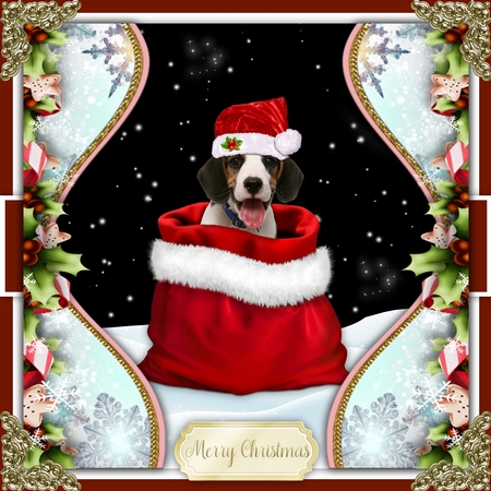 Christmas Borders 4 by Belinda Rub