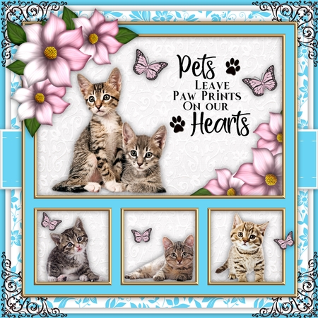Quad Frames Set 1 (Tropical Colors Palette) by Belinda Rub