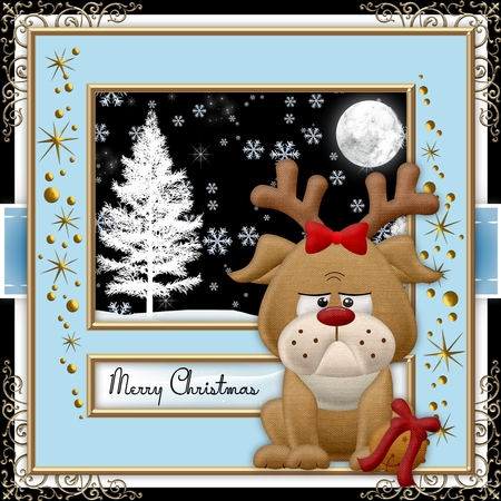 Frosty Frames Set 5 (Frosty Color Palette) by Belinda Rub