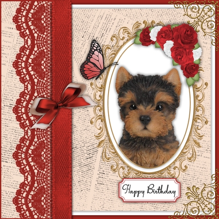 Autumn 3 Tag 3 PNG by Belinda Rub