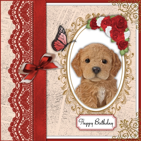 Autumn 3 Rose Vignette 6 by Belinda Rub