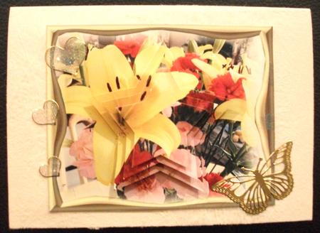 Yellow Star Lily by Belinda Wilson