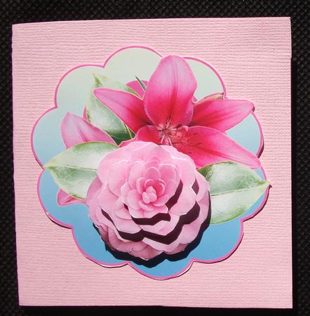Bright and Cheery Pink Camelias a Card for Any Occasion by Belinda Wilson