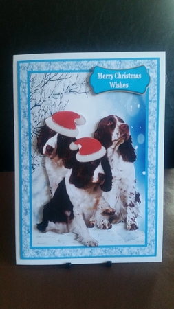 Pawsome Christmas Wishes by Benita Jenkinson