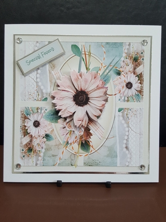 Pink daisy by Benita Jenkinson