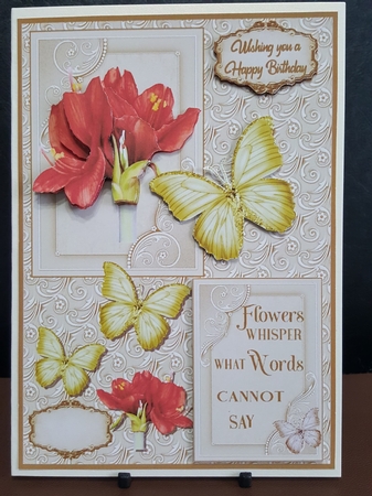 Birthday Amaryillis by Benita Jenkinson